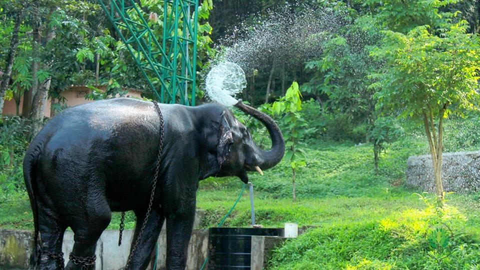Swasthi Griha Villa Aranmula Dış mekan fotoğraf